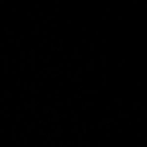 Meet your Posher, Agnes